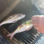 Palmira * Ližnjan