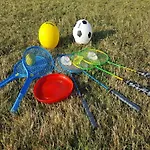 Palmira شقة *