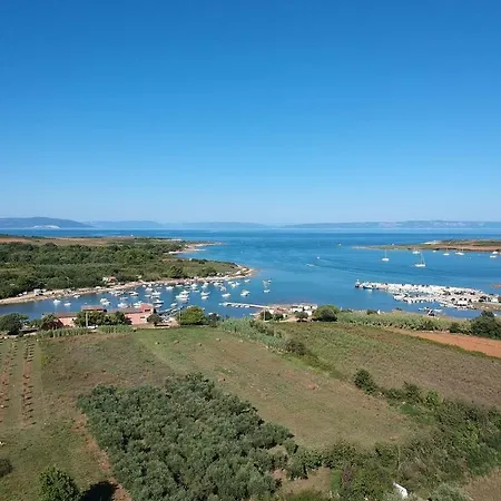 Apartament Palmira